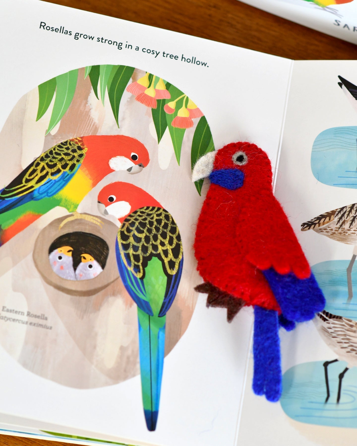 Busy Beaks Finger Puppets and Book Set by Sarah Allen