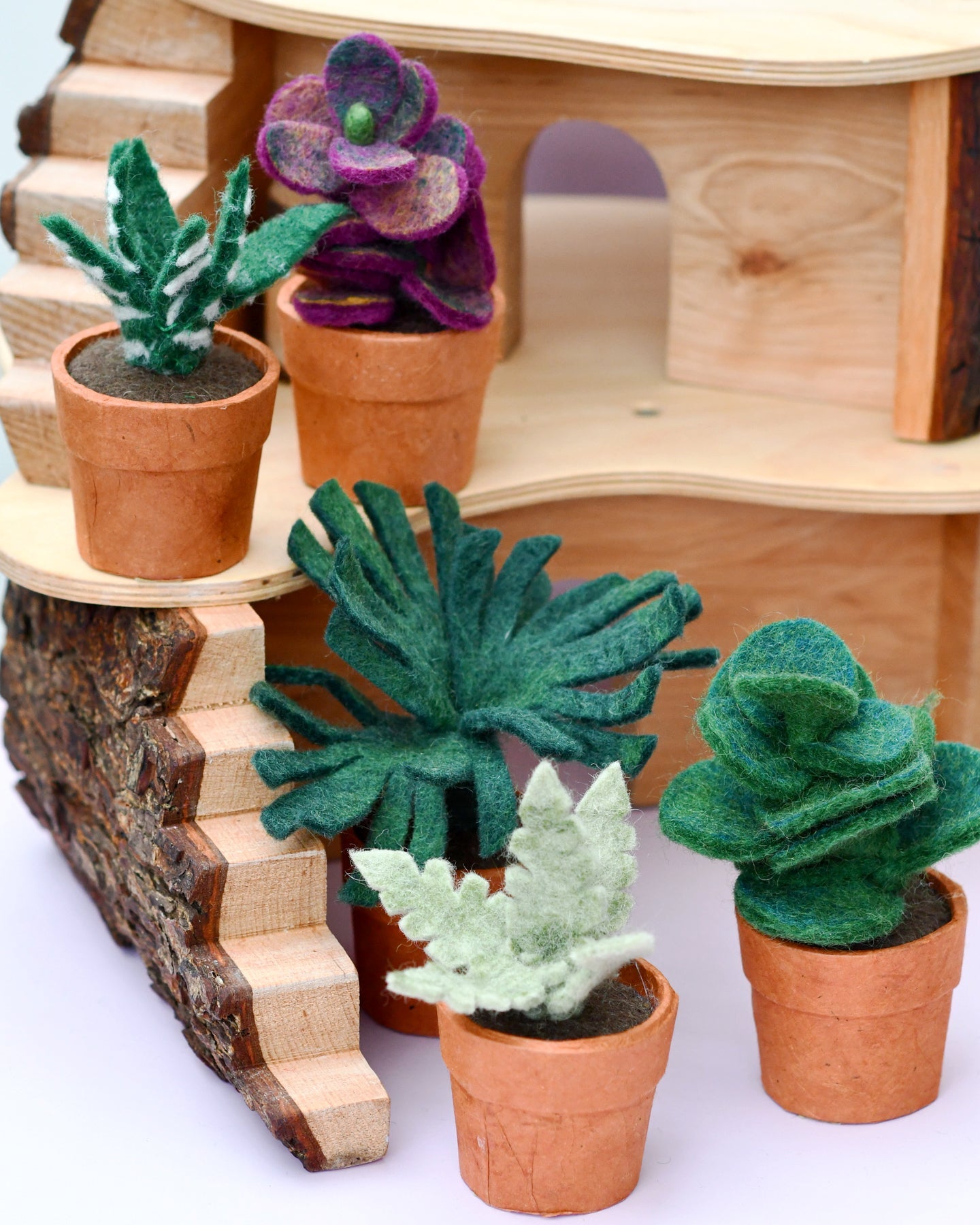 Felt Chalk Sticks Succulent Plant with Lokta Paper Pot - Tara Treasures