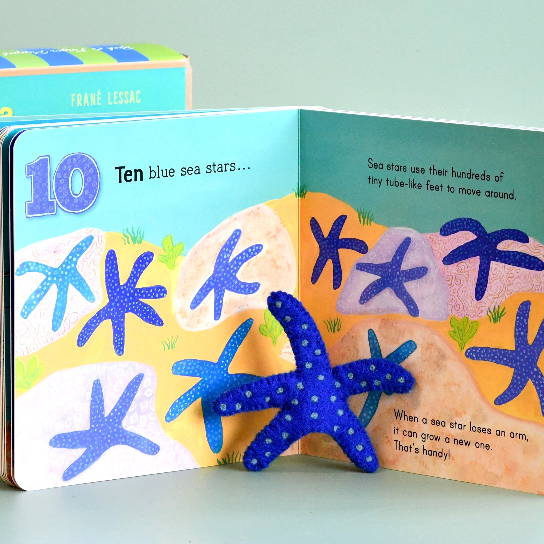 Australia Under the Sea 1, 2, 3 by Frané Lessac - Book and Finger Puppet Set - Tara Treasures