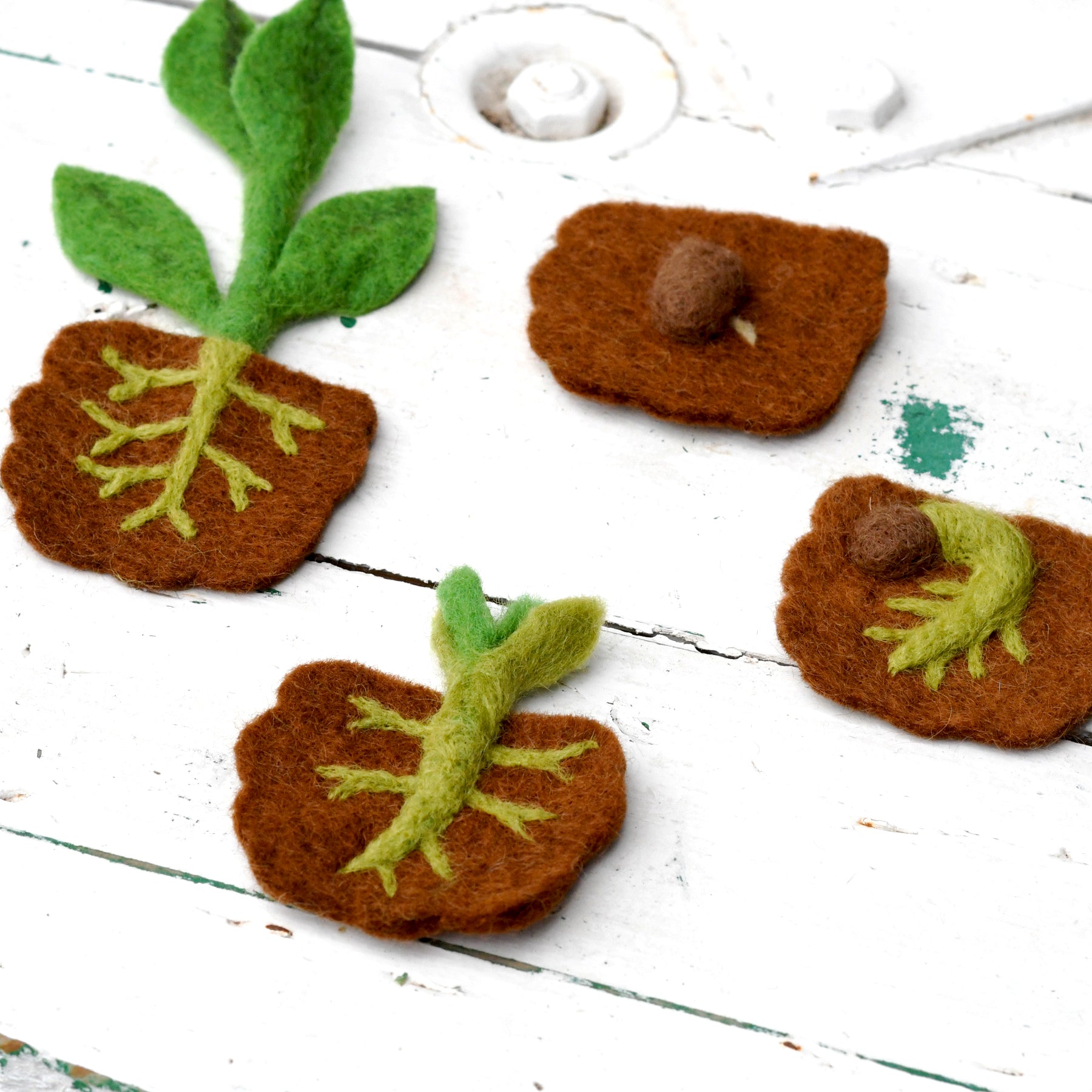 Felt Lifecycle of Bean Plant - Tara Treasures