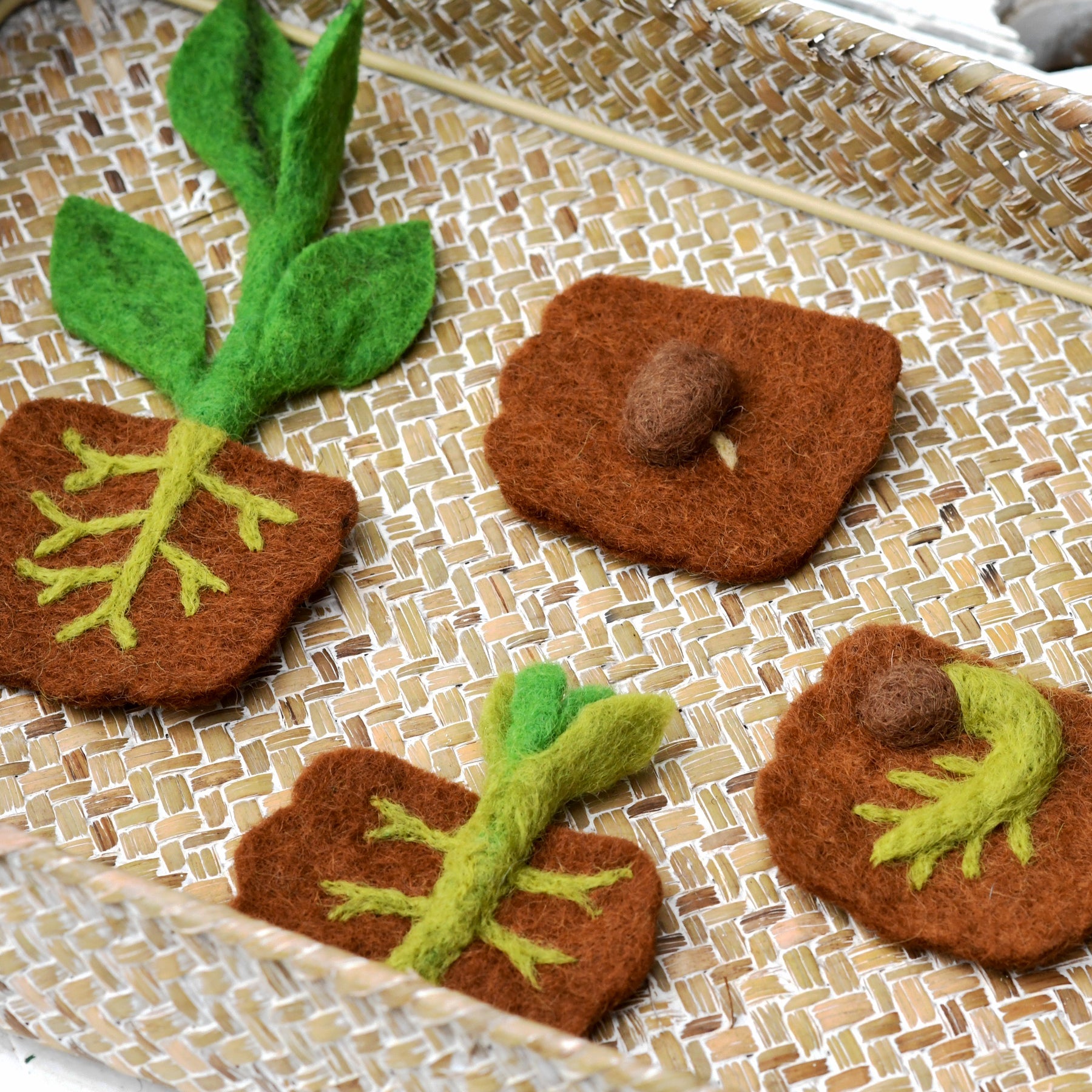 Felt Lifecycle of Bean Plant - Tara Treasures