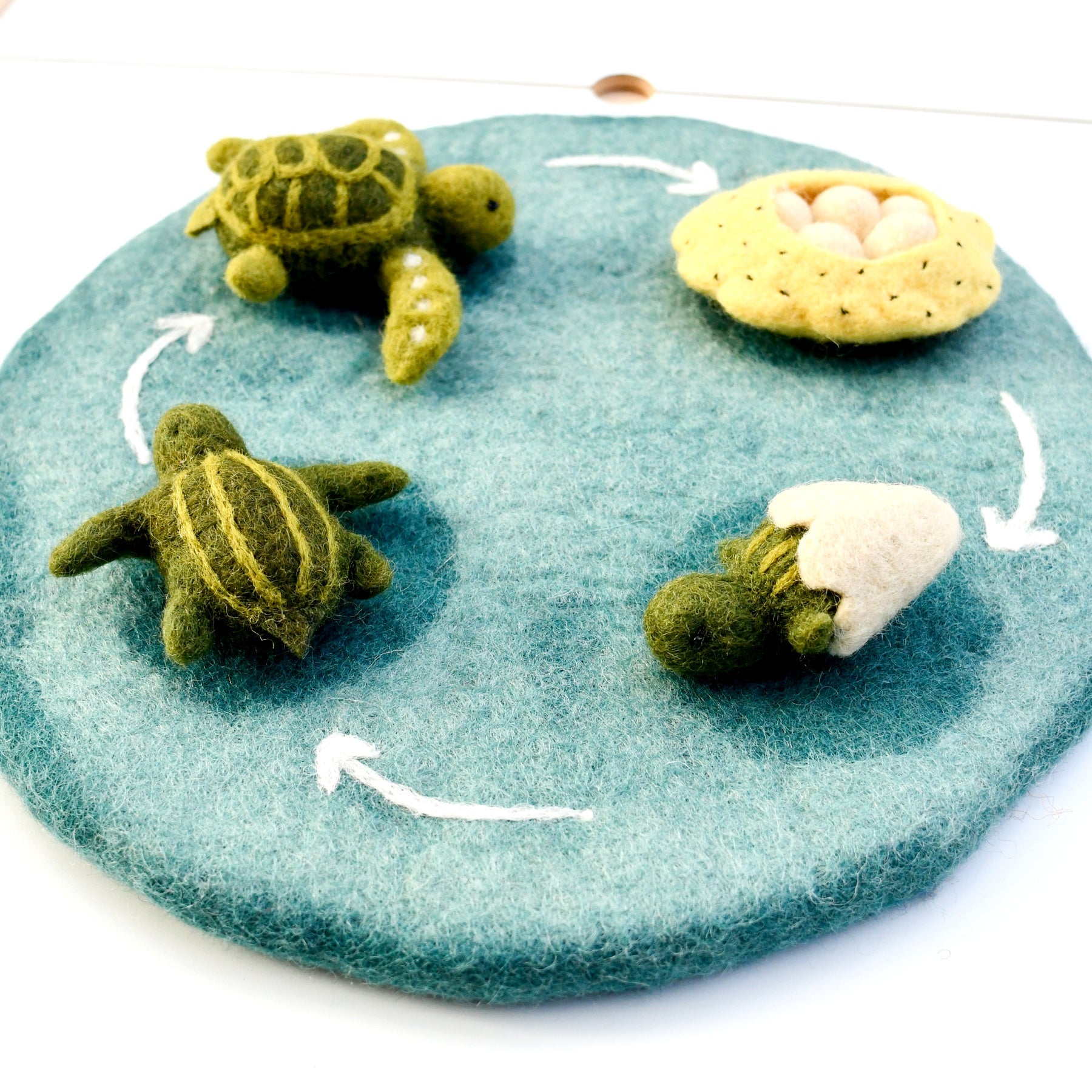 Felt Life Cycle Tray Playmat (Water) - Tara Treasures