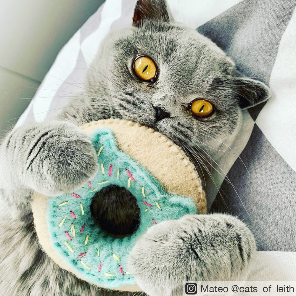 Catnip Donut Toy for Cats - Tara Treasures