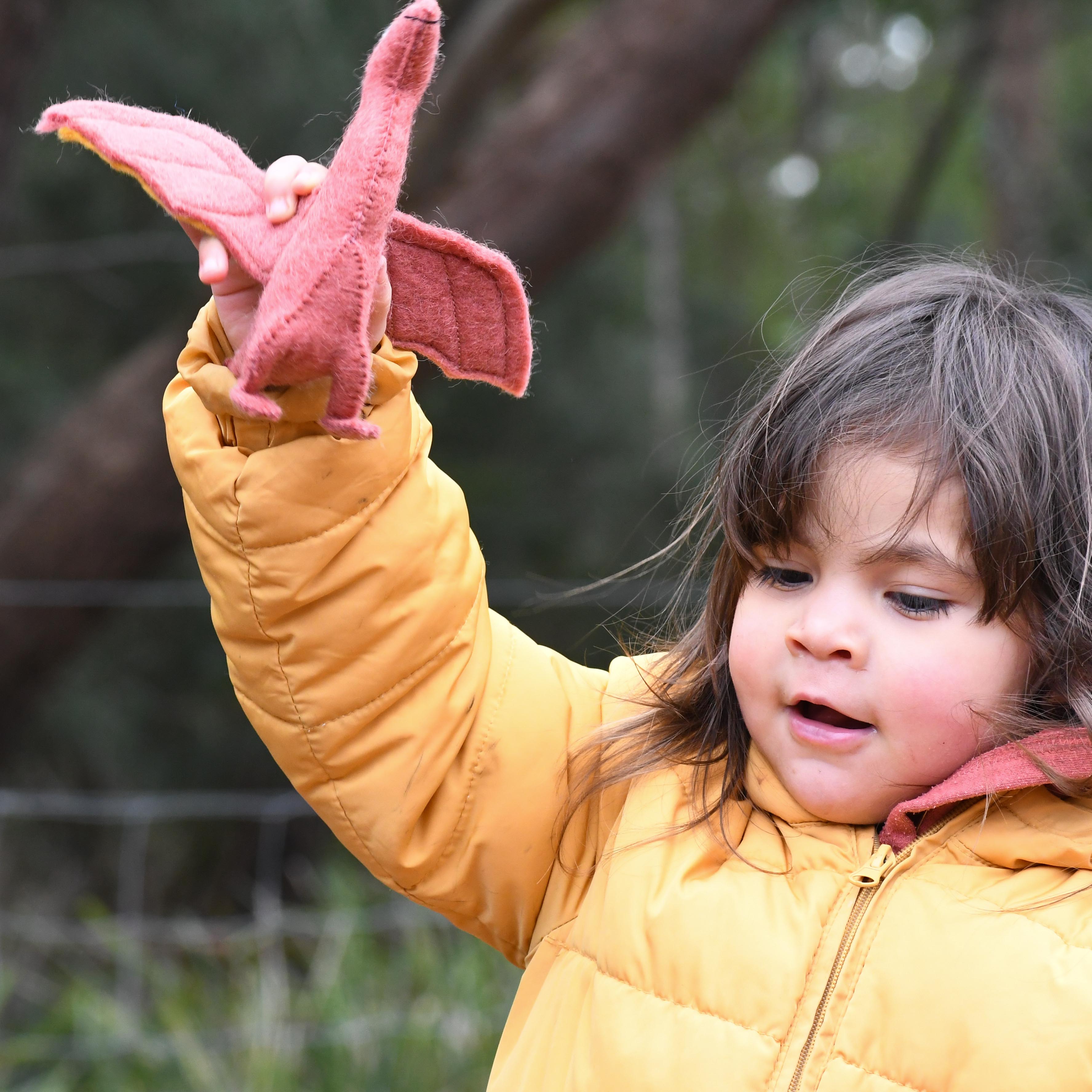 Felt Pteranodon Dinosaur Toy - Tara Treasures