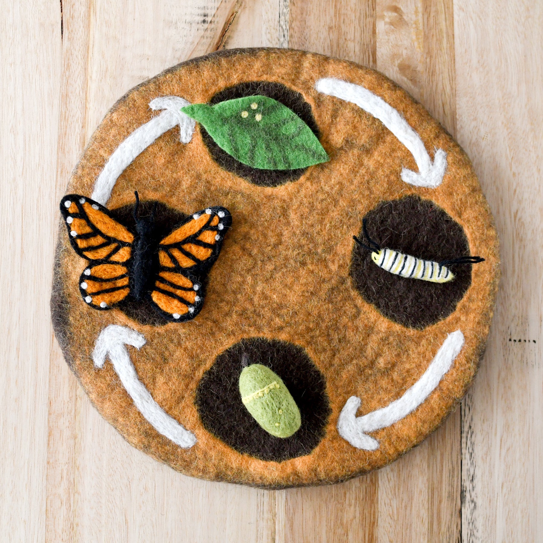 Felt Lifecycle of Monarch Butterfly - Tara Treasures