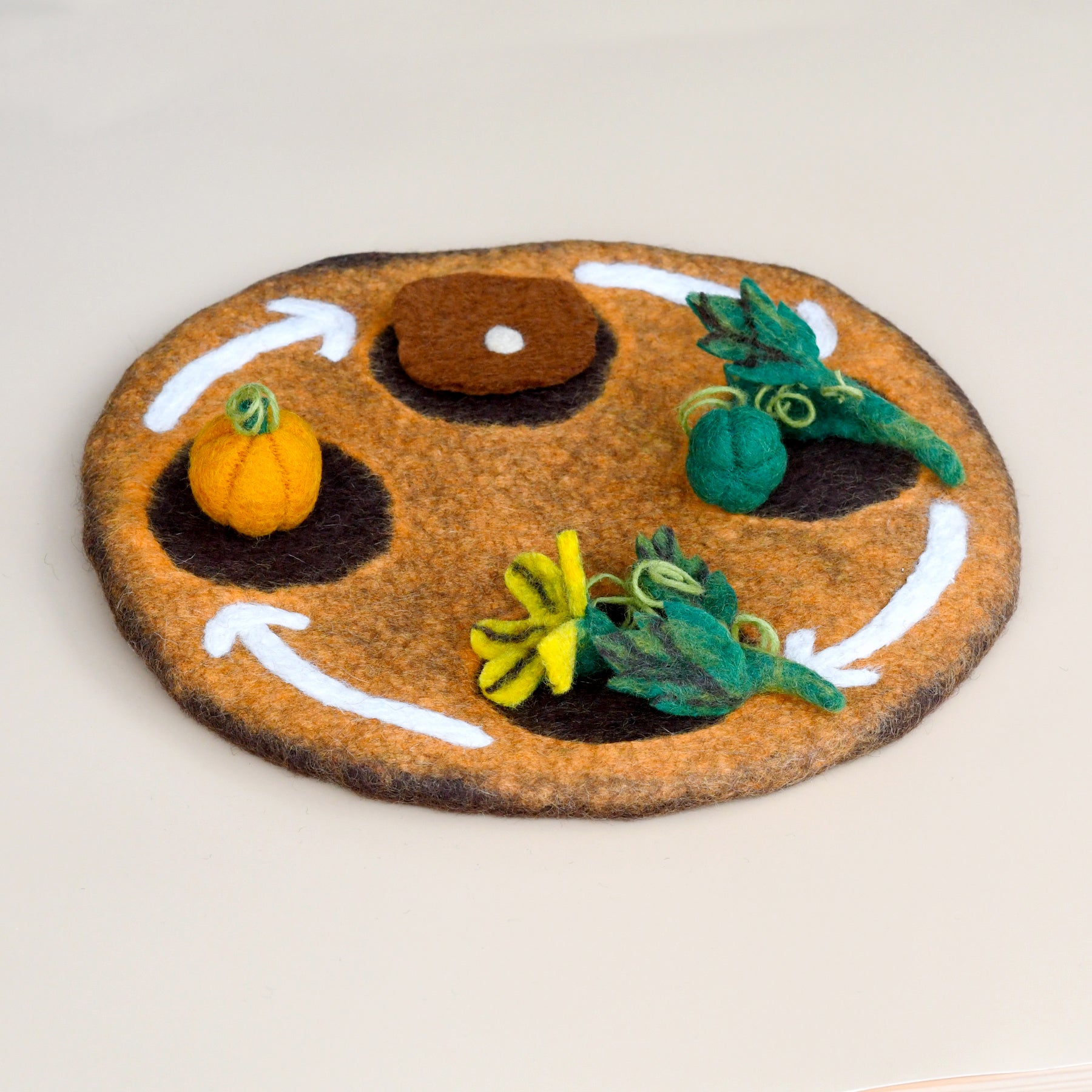 Felt Lifecycle of Pumpkin - Tara Treasures