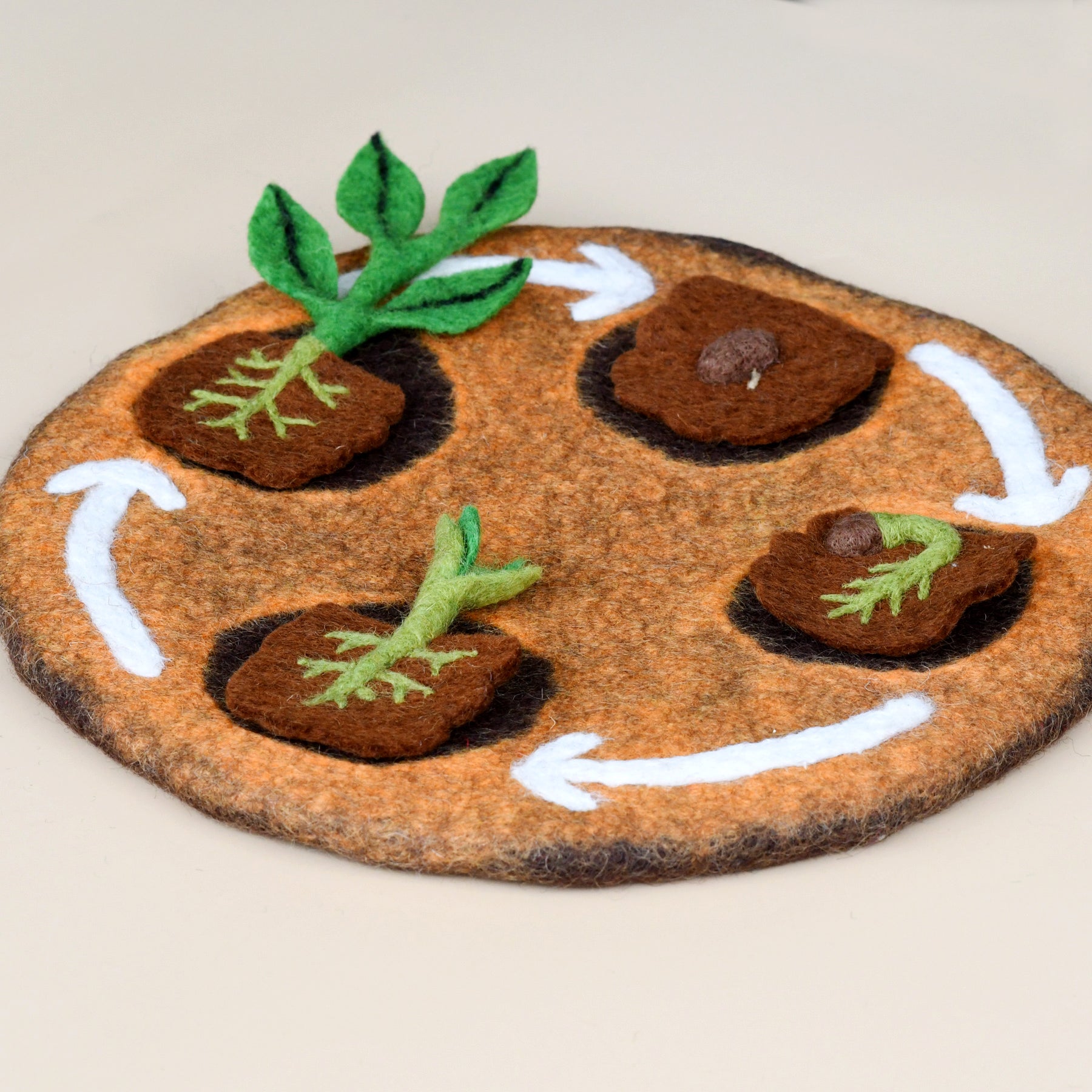 Felt Lifecycle of Bean Plant - Tara Treasures