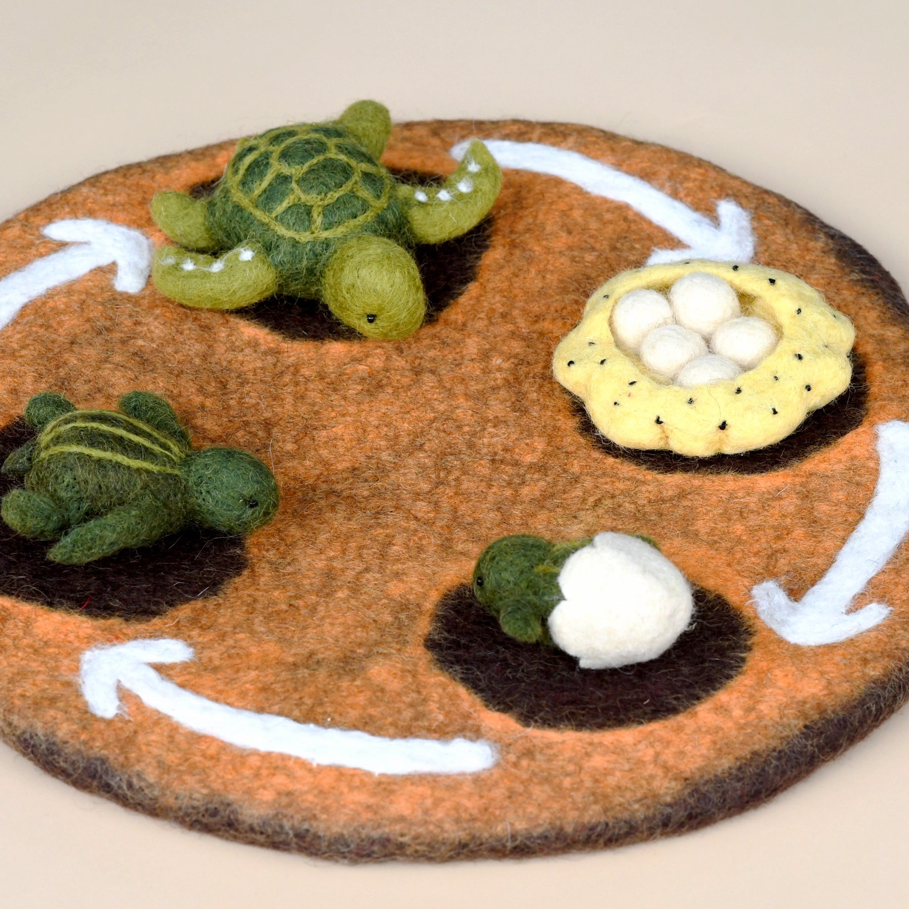 Felt Lifecycle of Green Sea Turtle - Tara Treasures