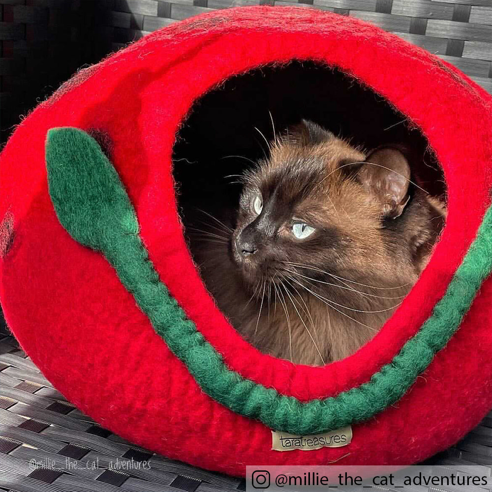 Cat Cave - Polka Dot Cocoon - Tara Treasures