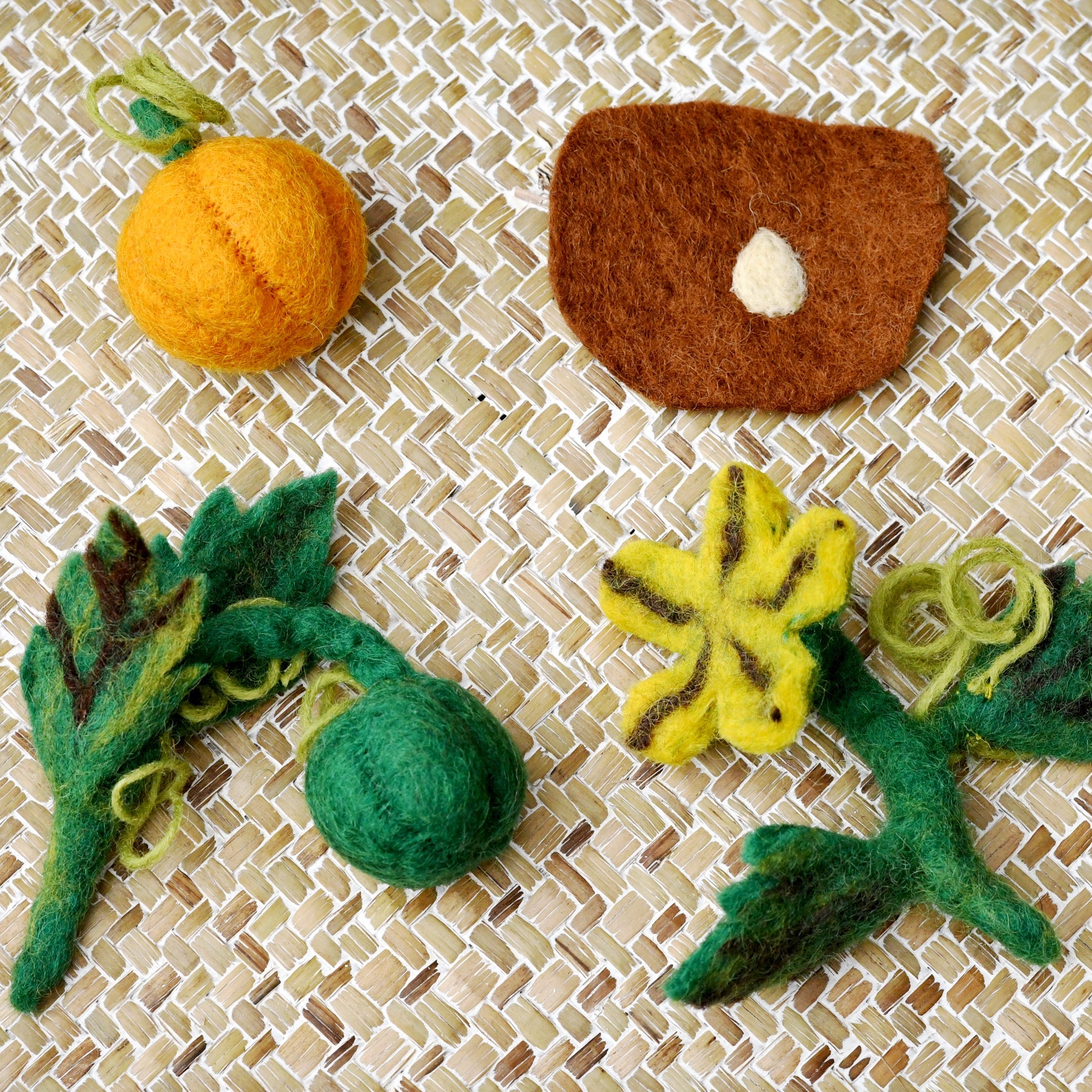 Felt Lifecycle of Pumpkin - Tara Treasures