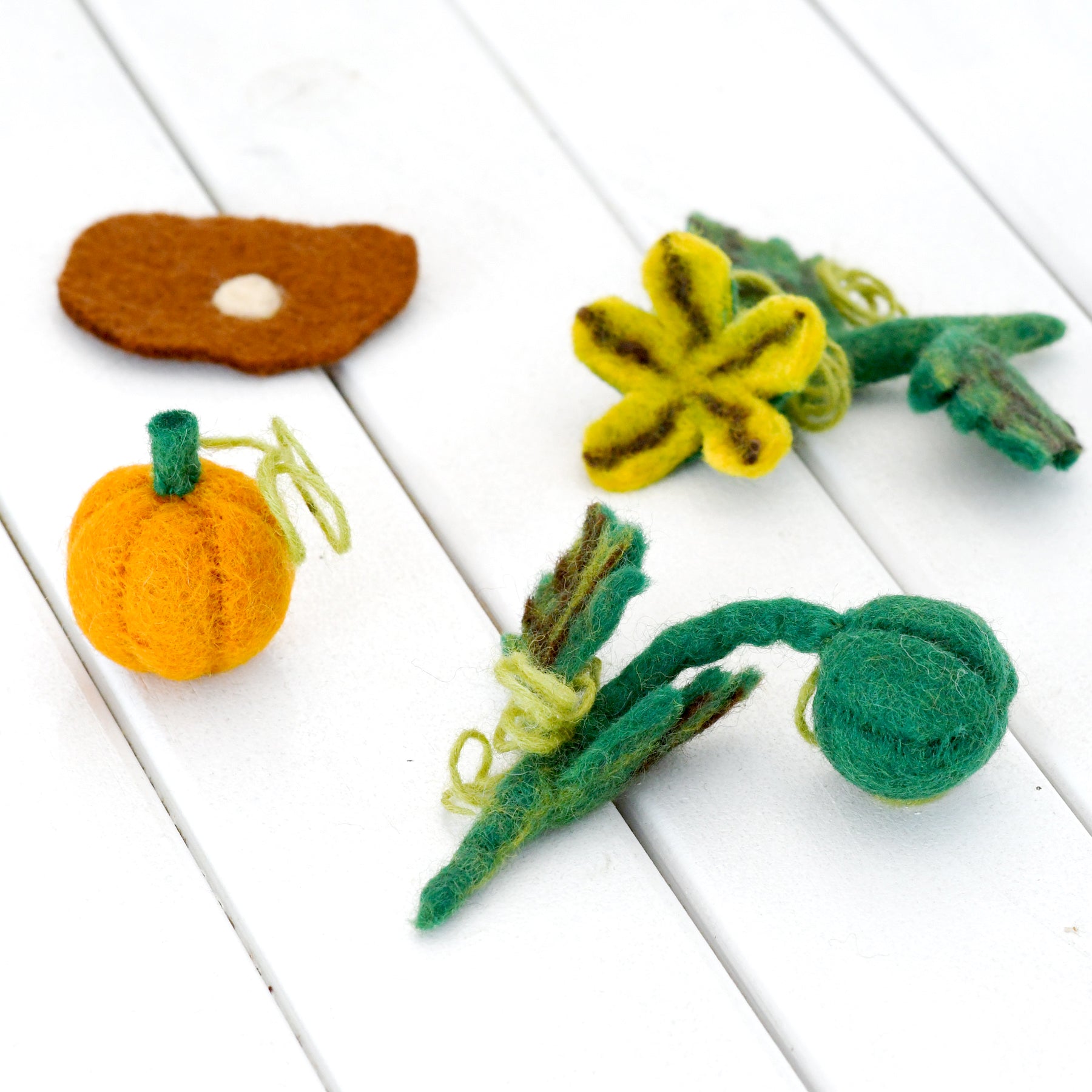 Felt Lifecycle of Pumpkin - Tara Treasures