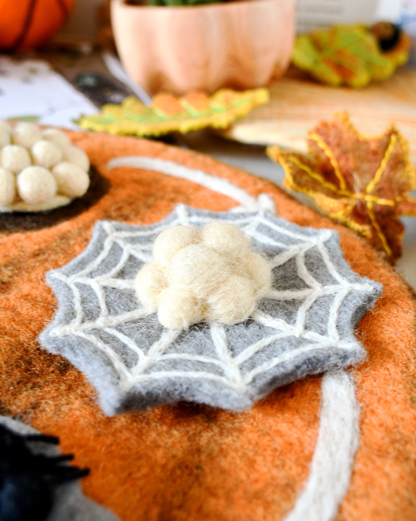 Felt Lifecycle of Redback Spider