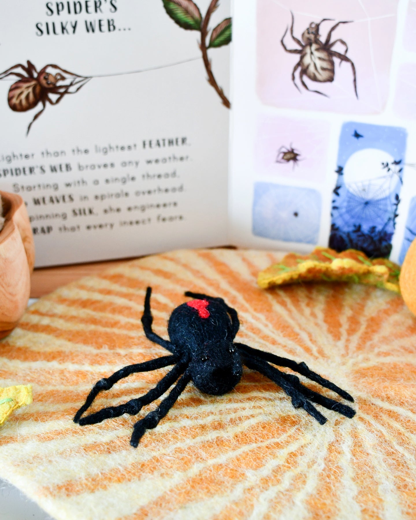 Felt Lifecycle of Redback Spider