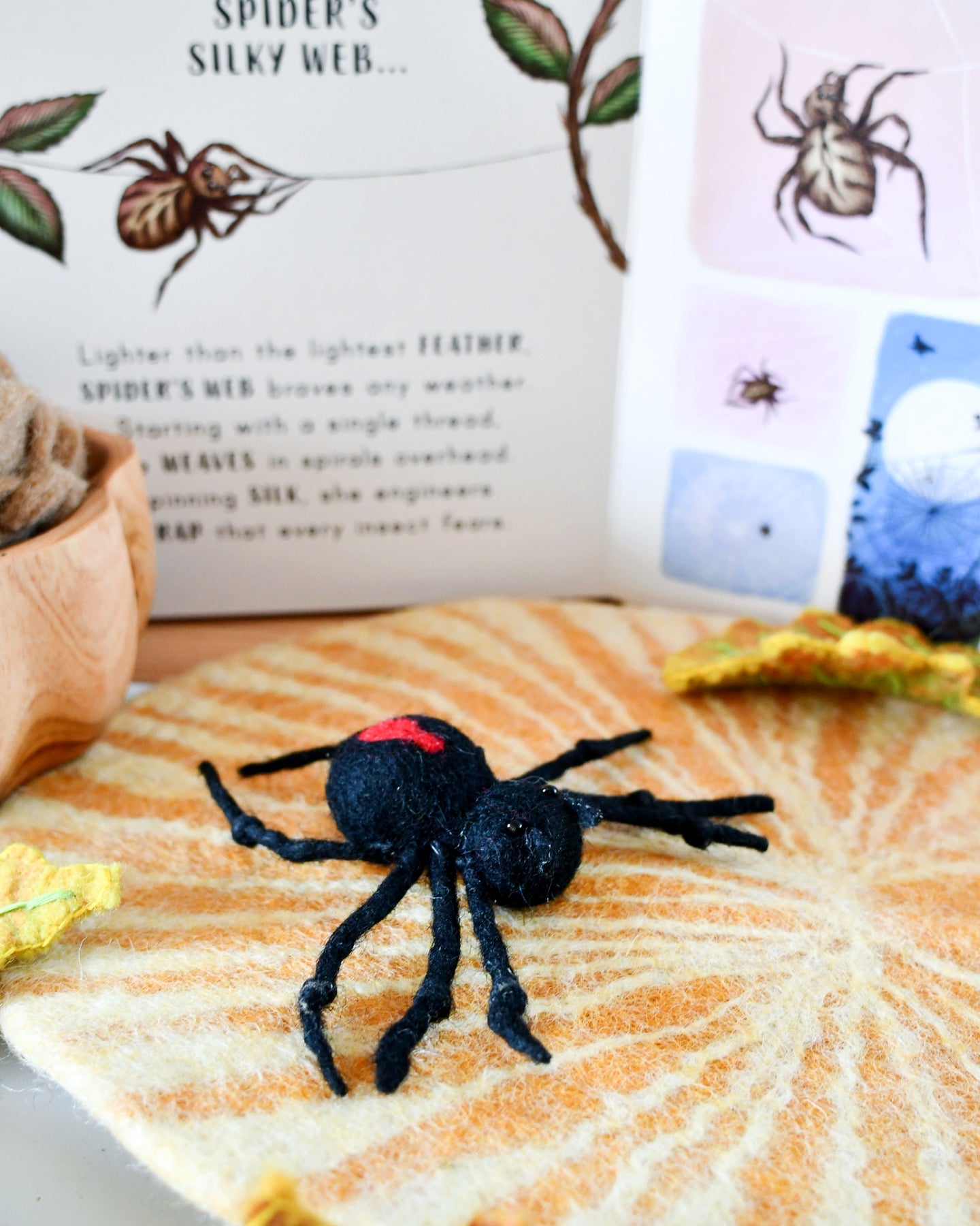 Felt Lifecycle of Redback Spider