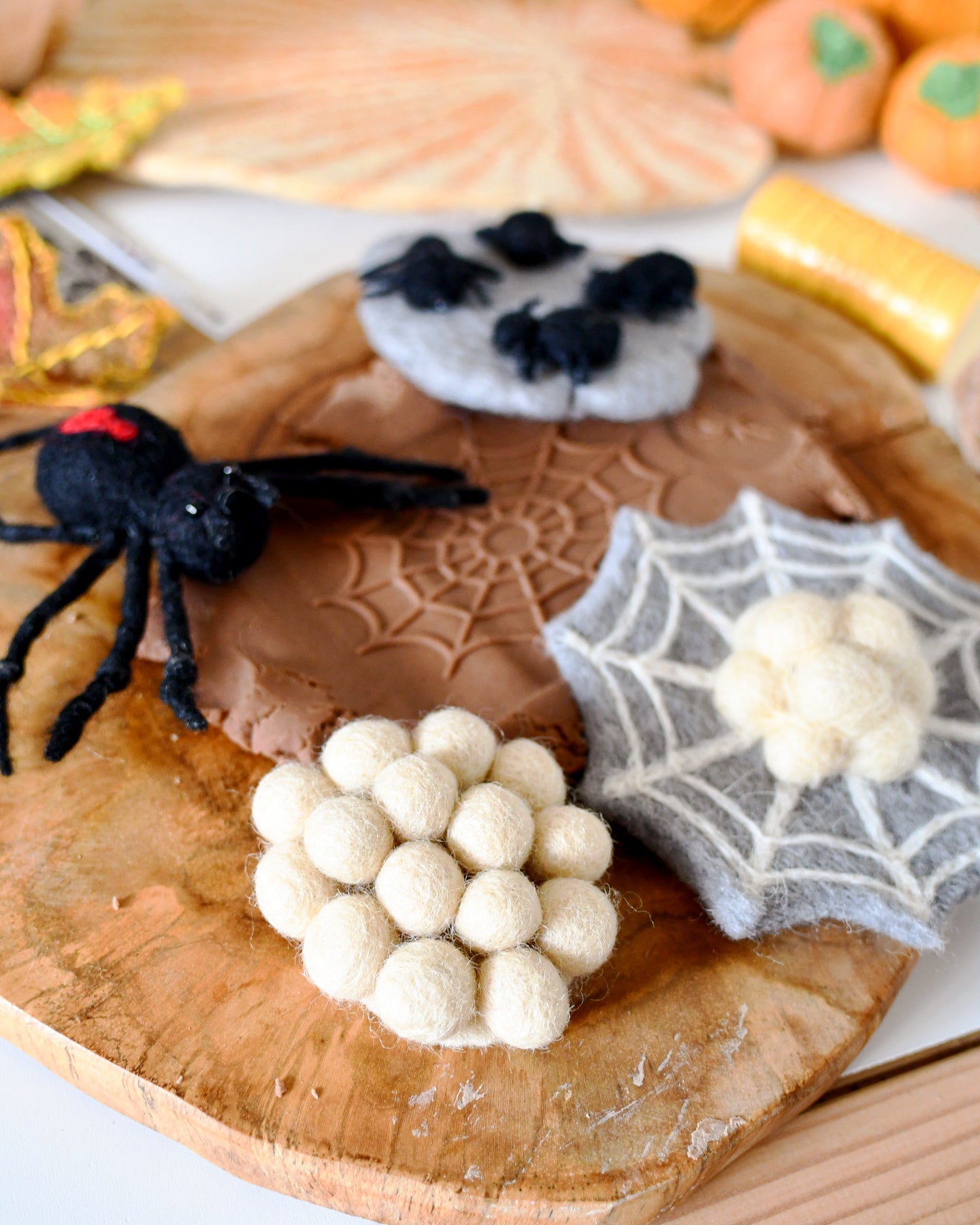 Felt Lifecycle of Redback Spider