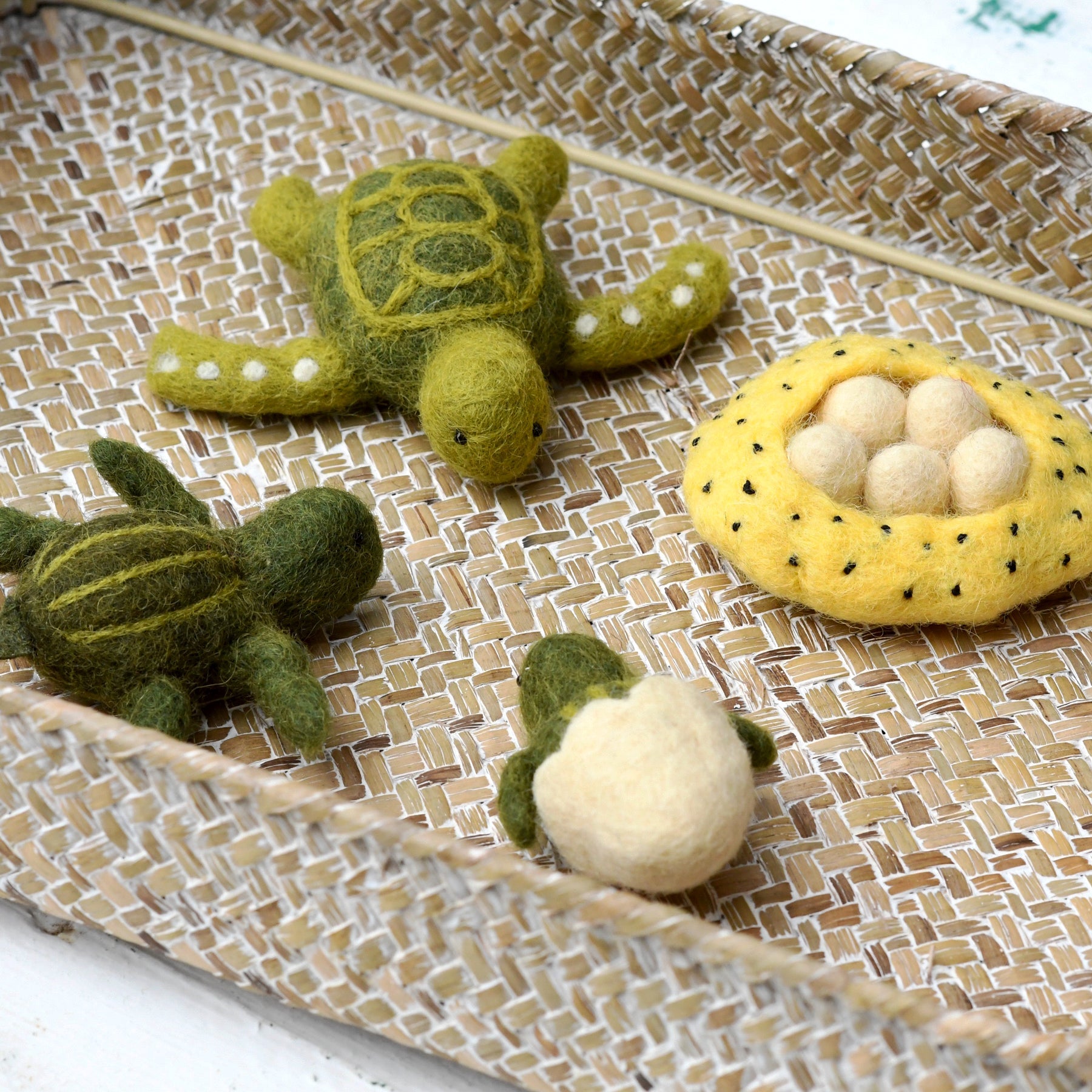 Felt Lifecycle of Green Sea Turtle - Tara Treasures