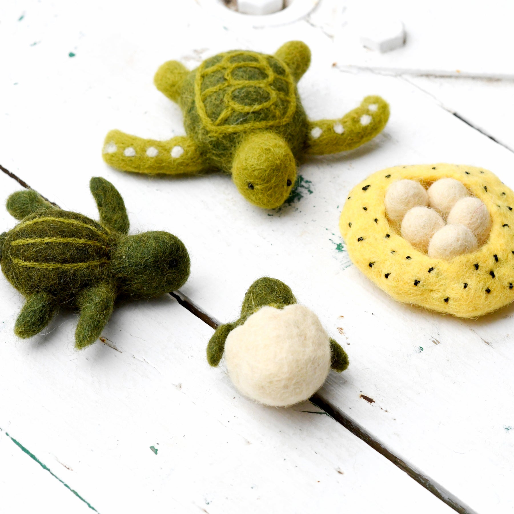 Felt Lifecycle of Green Sea Turtle - Tara Treasures