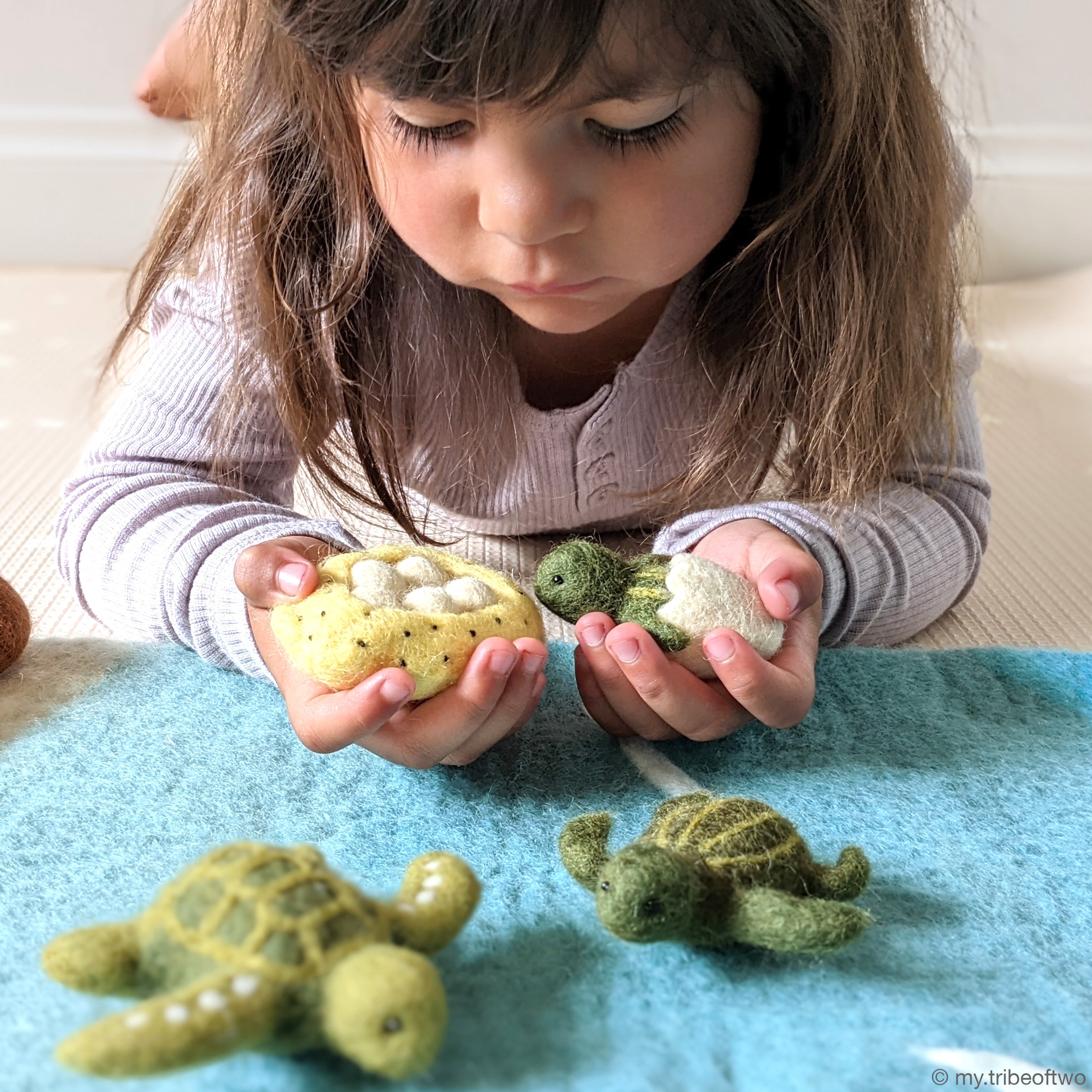 Felt Lifecycle of Green Sea Turtle - Tara Treasures