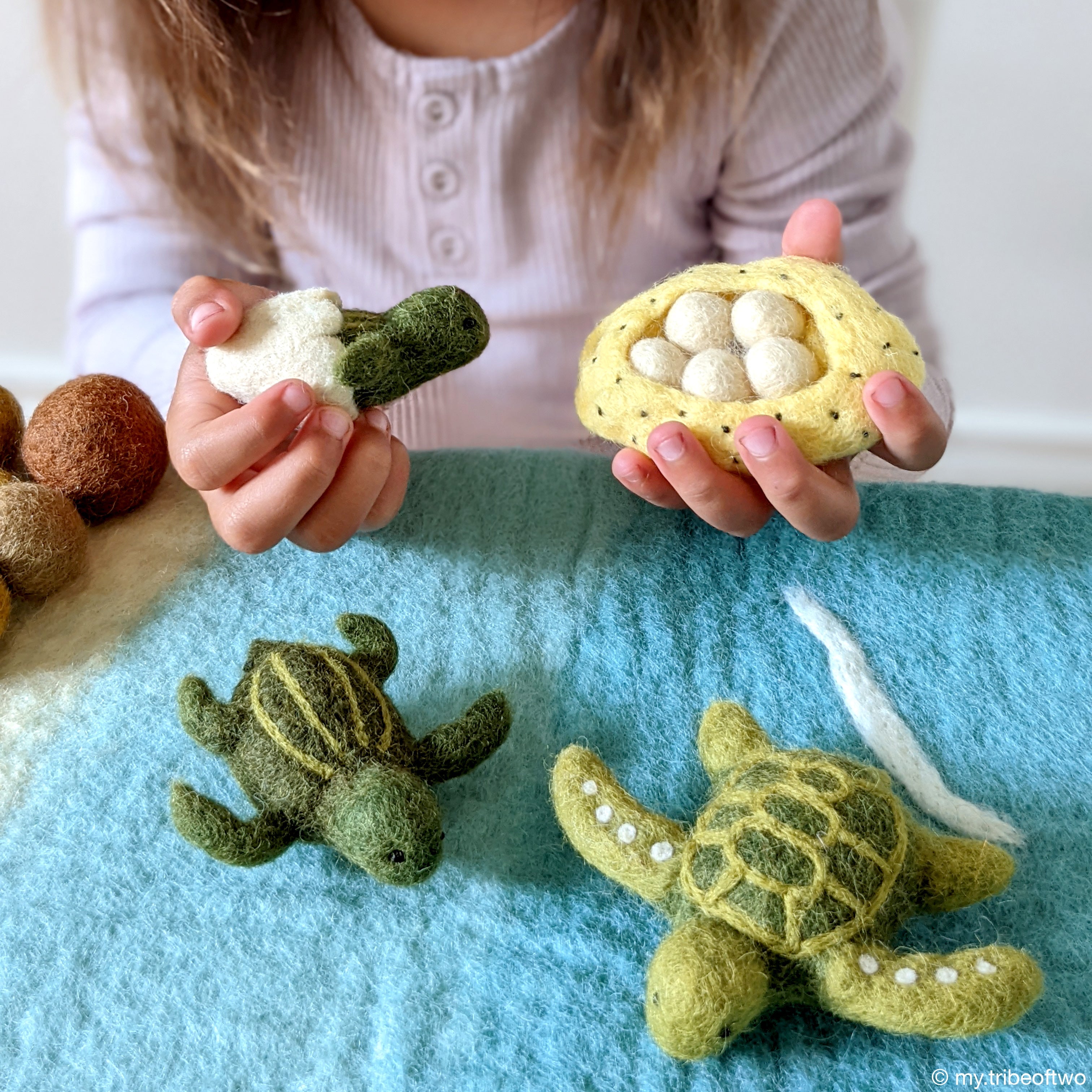 Felt Lifecycle of Green Sea Turtle - Tara Treasures