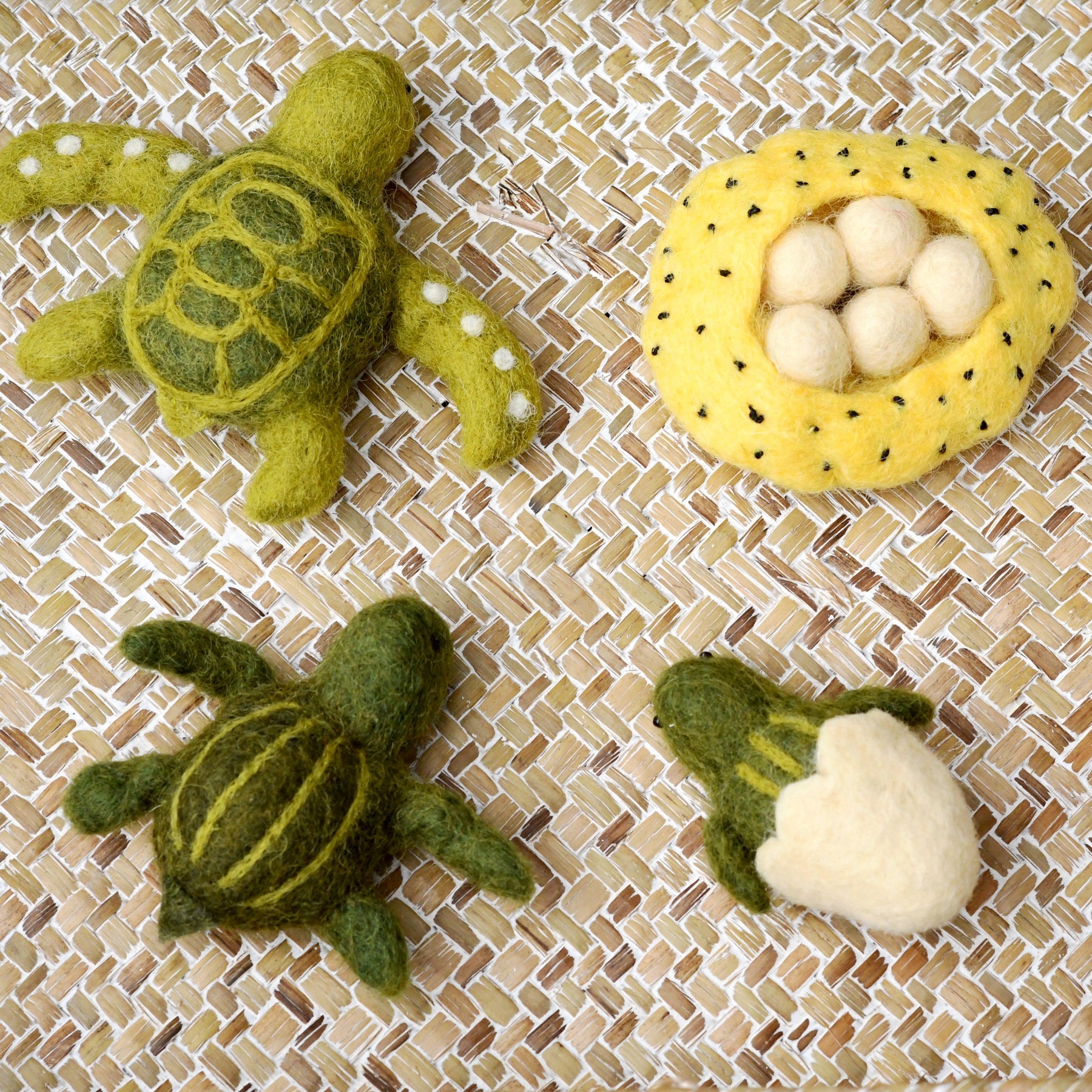 Felt Lifecycle of Green Sea Turtle - Tara Treasures